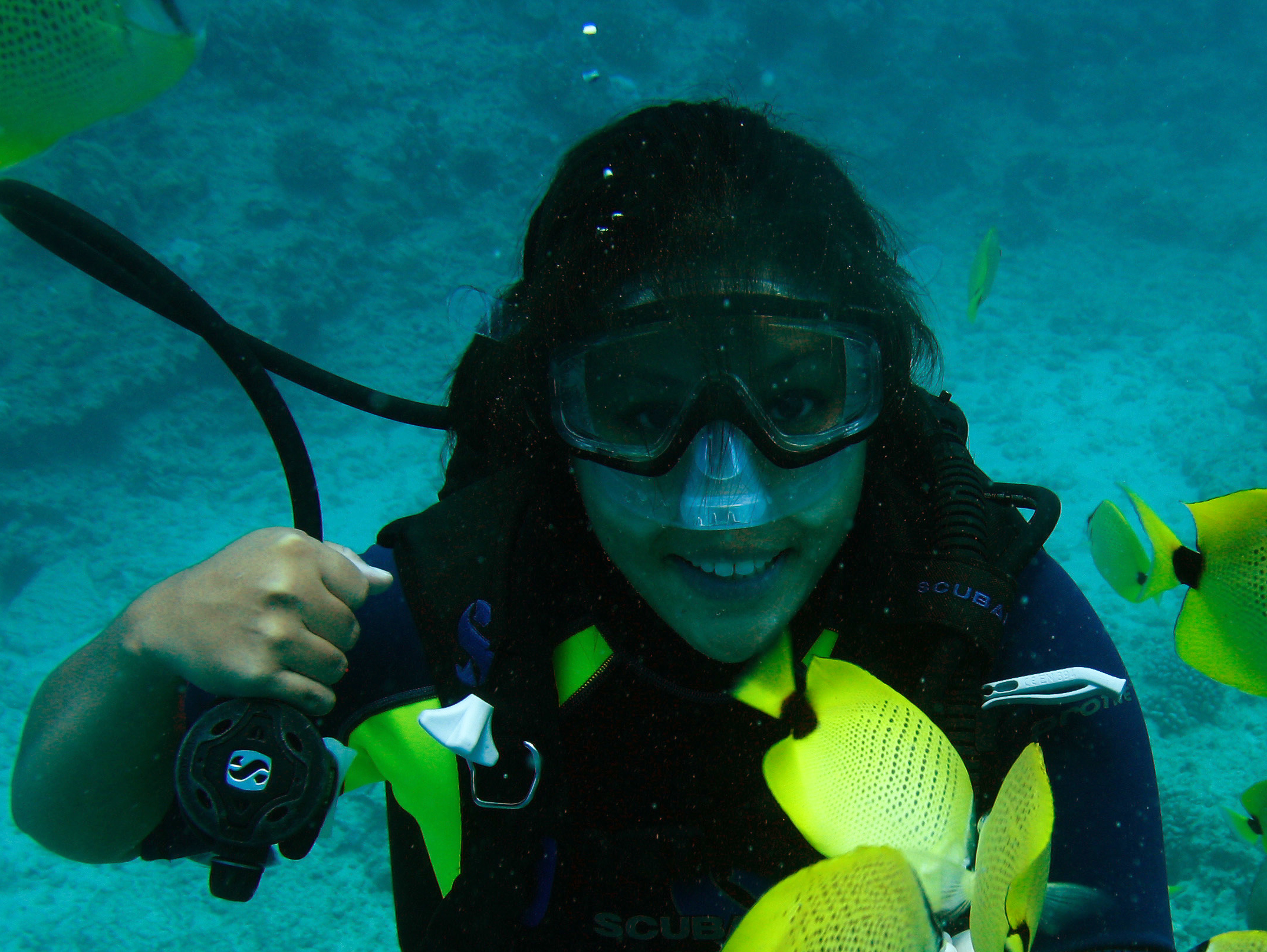 Mandy Diving Marine Mammal Research Unit