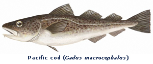 maschner_fish