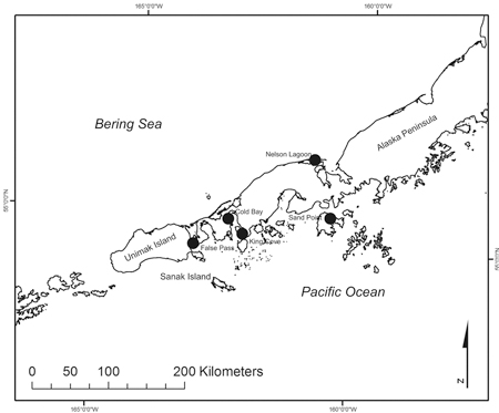 The North Pacific and the western Gulf of Alaska region showing Alaska and the location of Sanak Island where bones were collected at archeological sites to determine whether a change in fish size was evident over the 4500 archeological record.