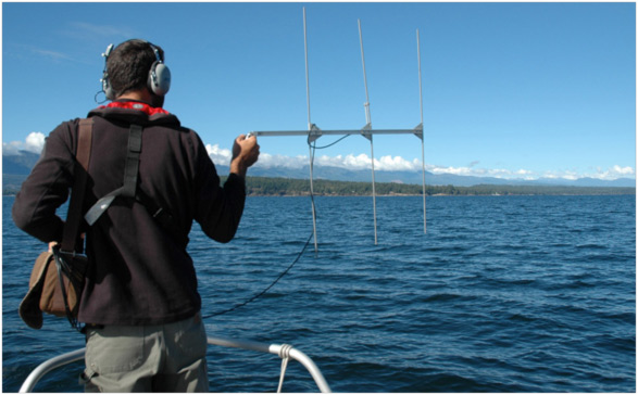 Hassen Allegue tracking a floating tag using VHF signal.
