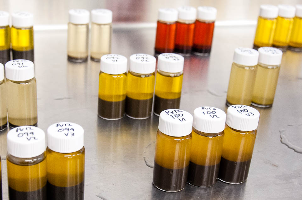 Fig. 3. Vials of harbour seal scats soaking in ethanol to obtain prey DNA.