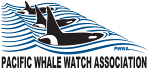 p-whale-watch-logo