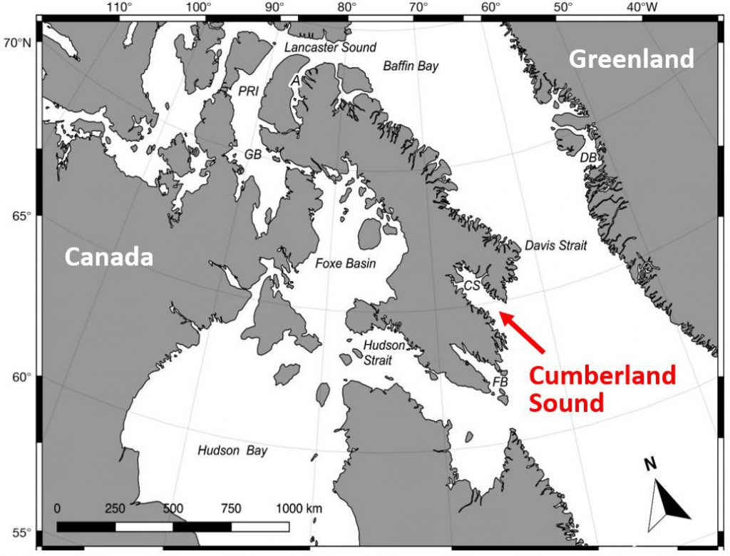 Map of research for Bowhead whales
