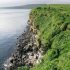 Meals for Seals: Maximum rates of fish intake in northern fur seals