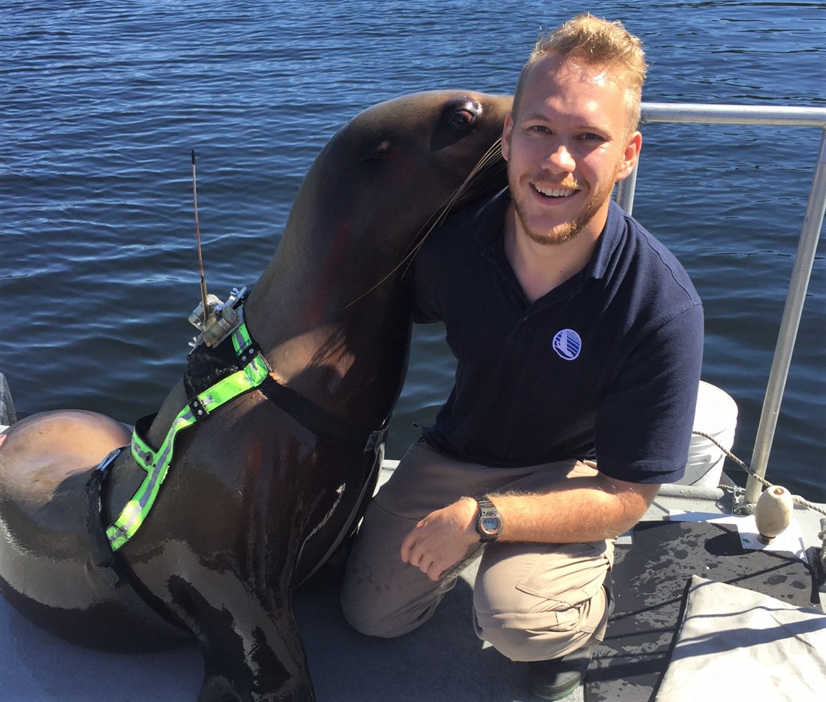 mmru-webpage – Marine Mammal Research Unit