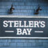 Steller Research Front and Center