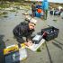 Into the Field: Harbor seals prey on salmon smolts