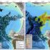 Foraging in the Abyss: Killer Whales and Submarine Canyons