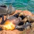 How long do sea lion pups rely on milk?